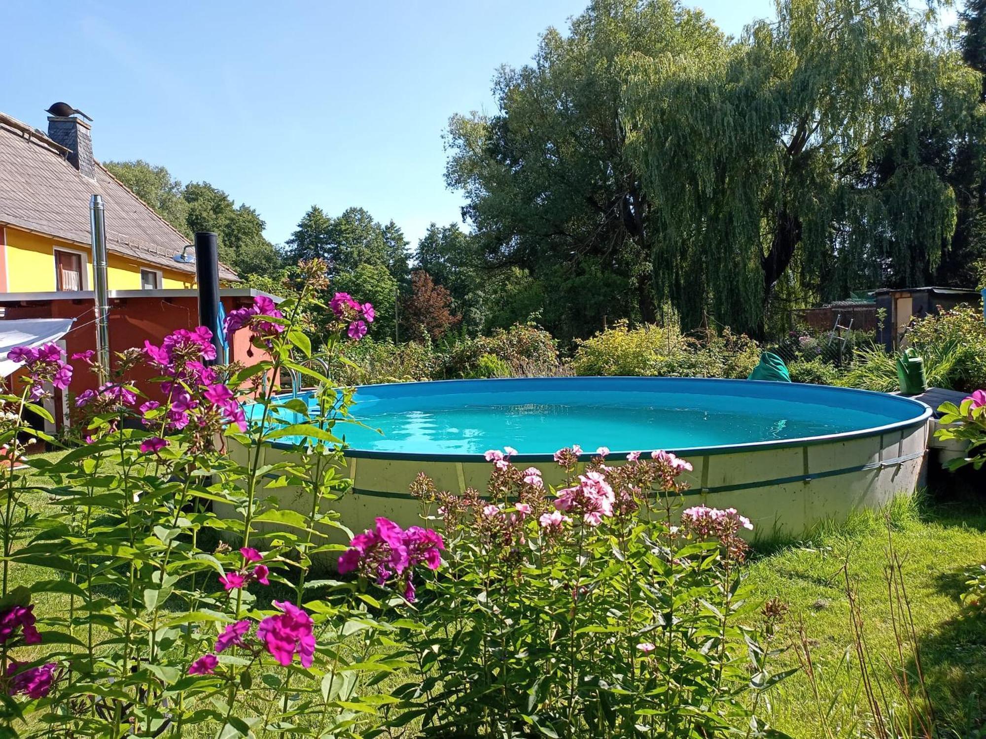 Ferienhof Im Gruenen Herzen Dittersdorf Экстерьер фото